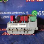 CAJA RELES / FUSIBLES 93852