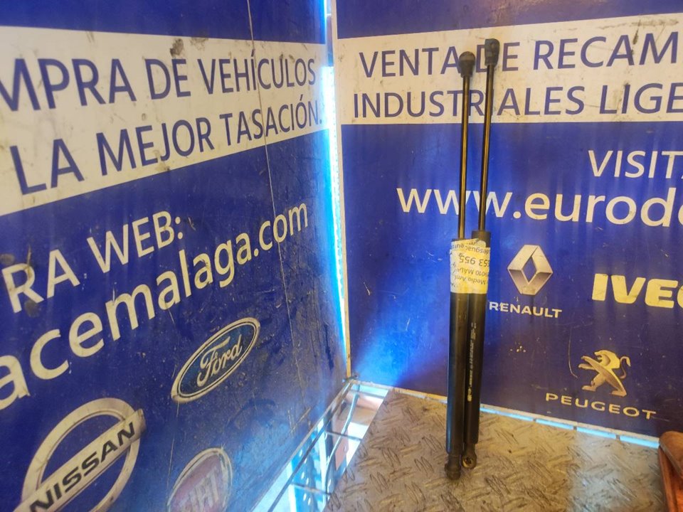 AMORTIGUADORES MALETERO / PORTON 100978