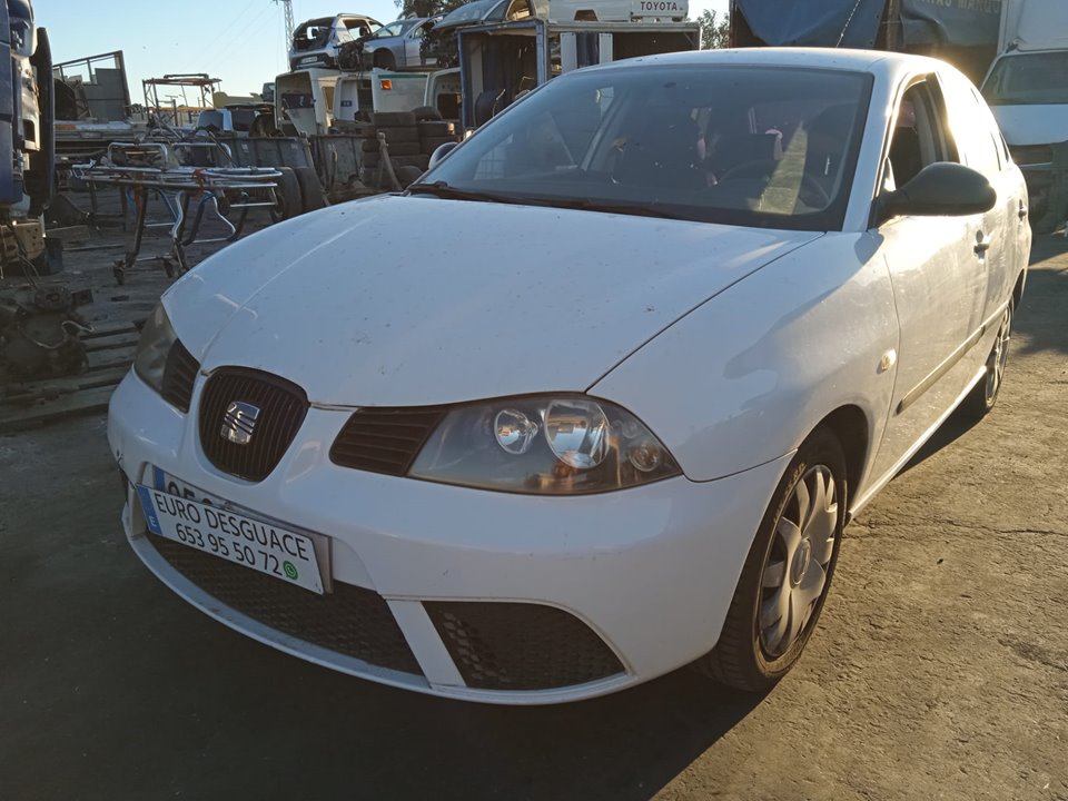 SEAT IBIZA del 2007 0538FPL