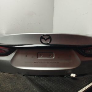 PORTON TRASERO 110596