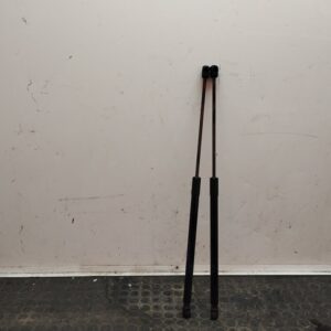 AMORTIGUADORES MALETERO / PORTON 107848