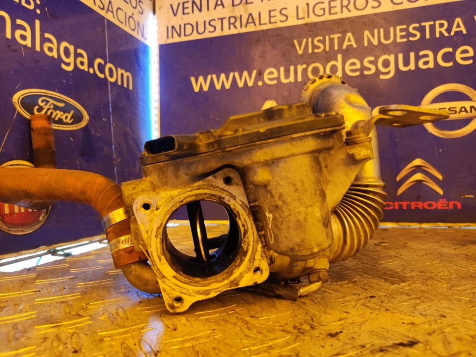 VALVULA EGR 100119
