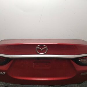 PORTON TRASERO 112859