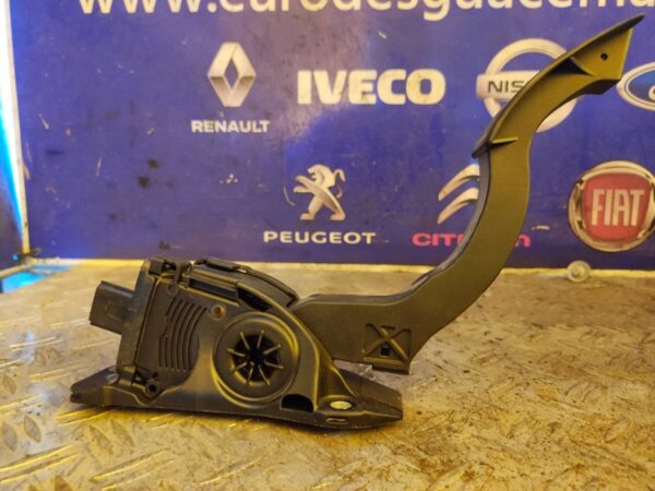 PEDAL ACELERADOR 100210
