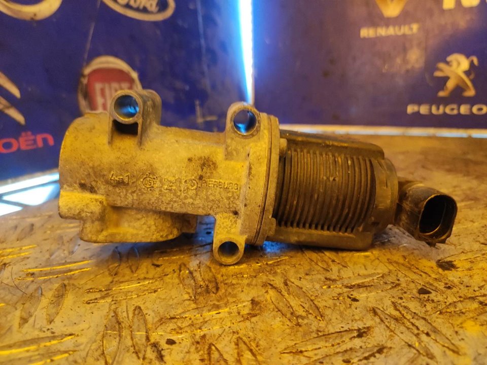 VALVULA EGR 100660