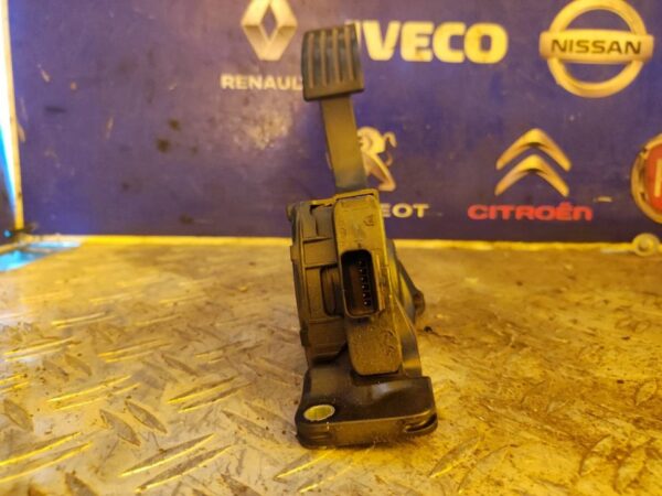 PEDAL ACELERADOR 100210