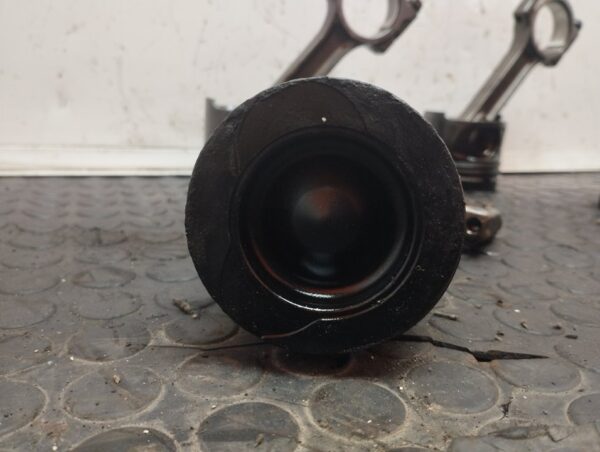 PISTON 109881
