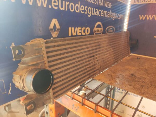 INTERCOOLER 100651