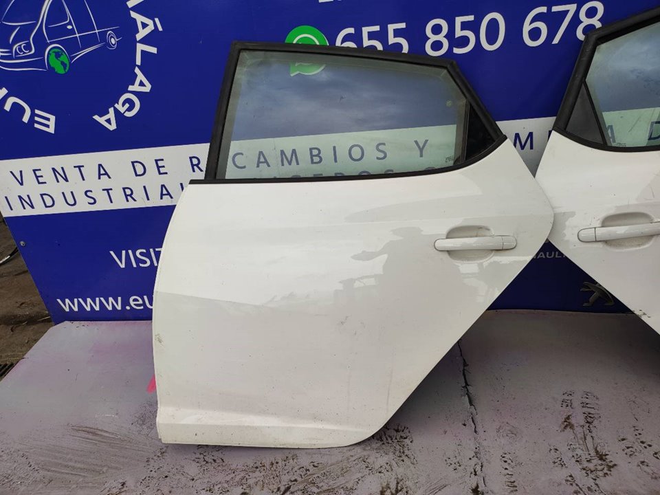 PUERTA TRASERA IZQUIERDA 100165