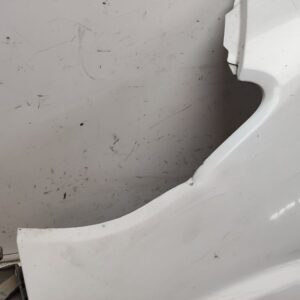 ALETA DELANTERA IZQUIERDA 109043