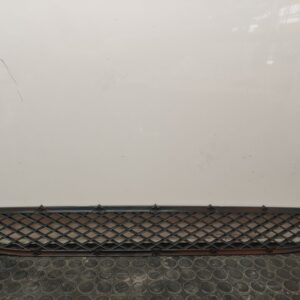 REJILLA PARAGOLPES CENTRAL 105240