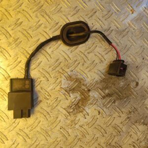 RELE INYECCION 100108