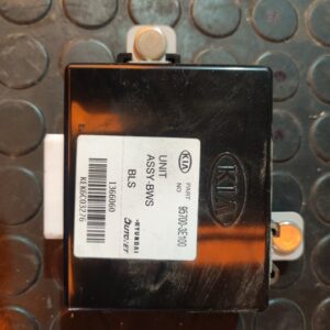 MODULO ELECTRONICO 107338