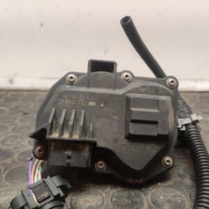 CAJA MARIPOSA 106071