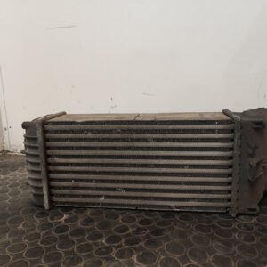 INTERCOOLER 110072