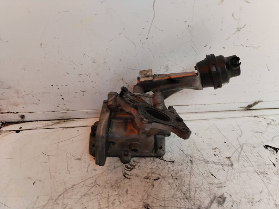 VALVULA EGR 114113