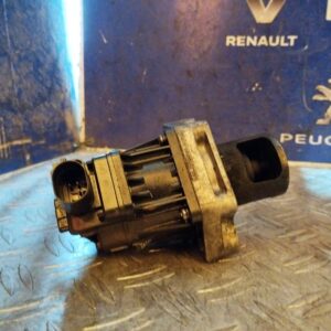 VALVULA EGR 101380