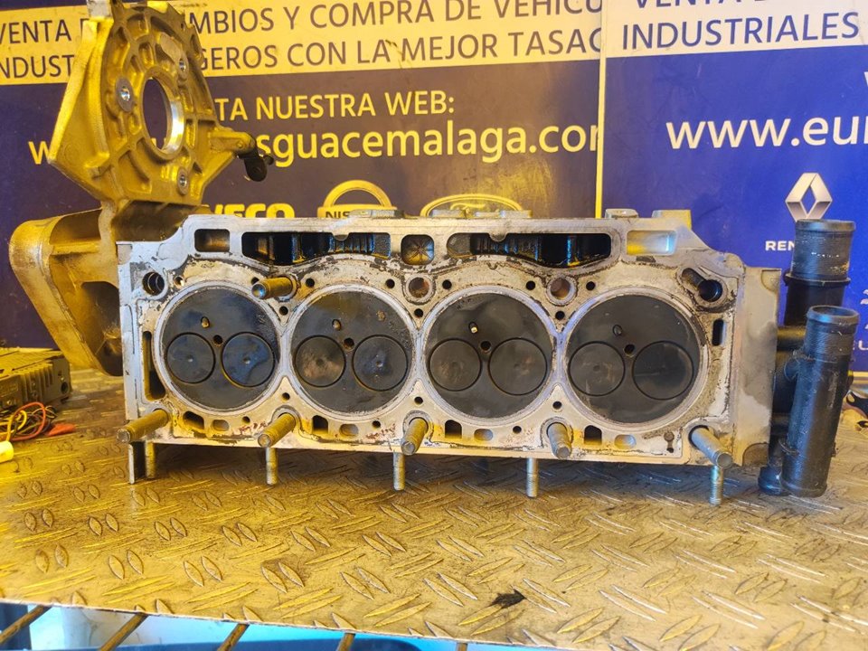 CULATA 99911