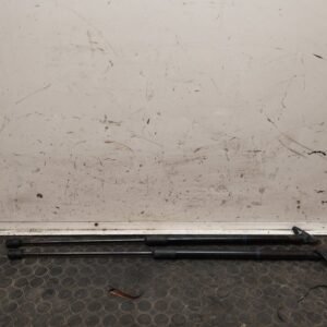 AMORTIGUADORES MALETERO / PORTON 109475