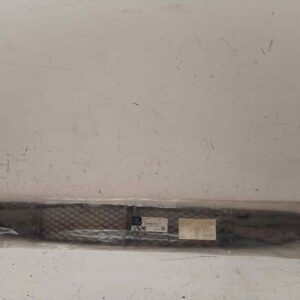 REJILLA PARAGOLPES CENTRAL 116984