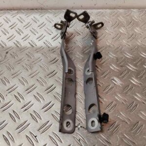 BISAGRA CAPO DERECHA 118529