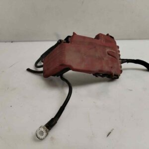 CAJA RELES / FUSIBLES 119869