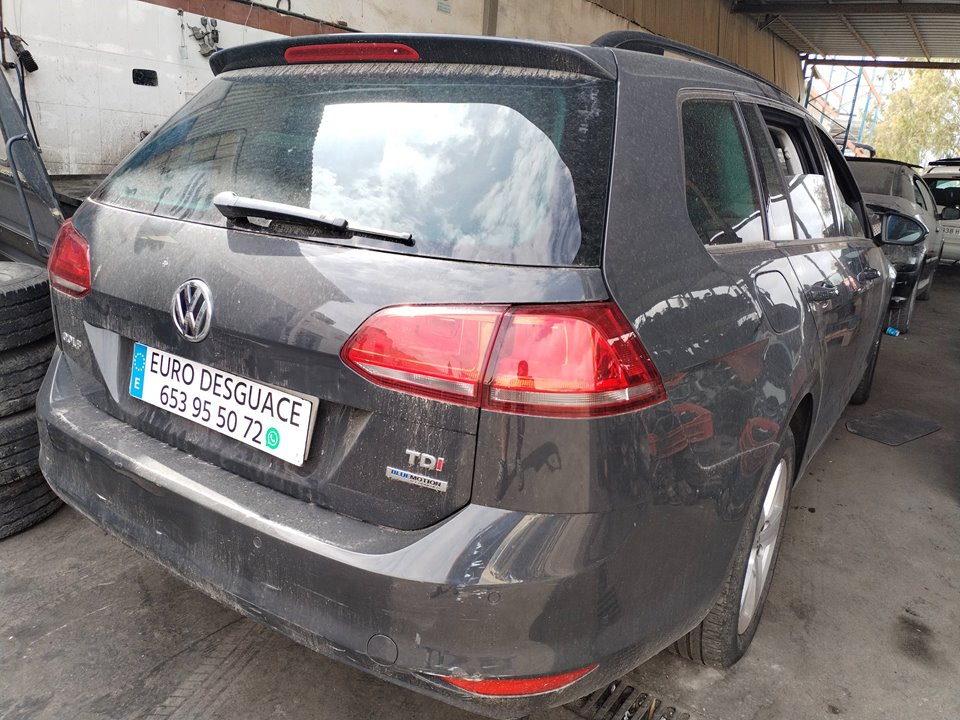 VOLKSWAGEN GOLF VII VARIANT (BV5) del 2014