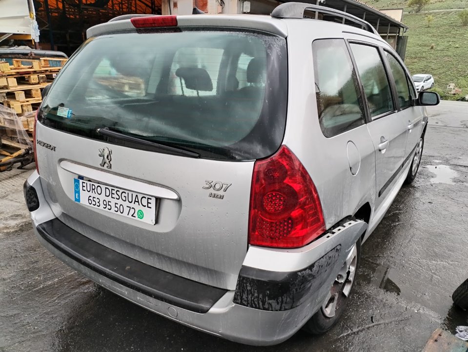 PEUGEOT 307 BREAK/ SW (S2) del 2006