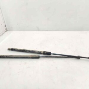 AMORTIGUADORES MALETERO / PORTON 123730