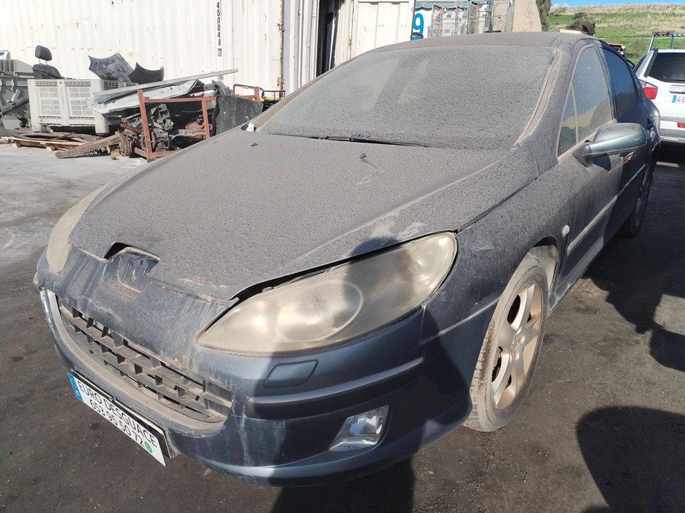 PEUGEOT 407 SW del 2004