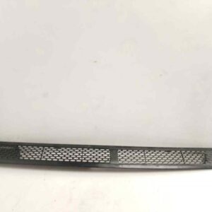 REJILLA DELANTERA 123861