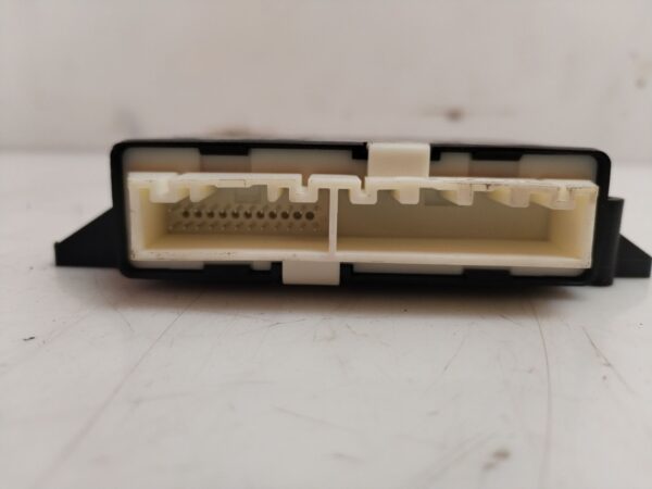MODULO ELECTRONICO 124739