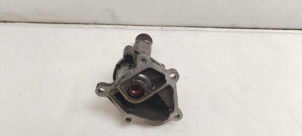 TERMOSTATO 124911