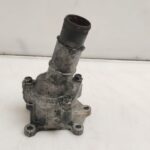 TERMOSTATO 124911