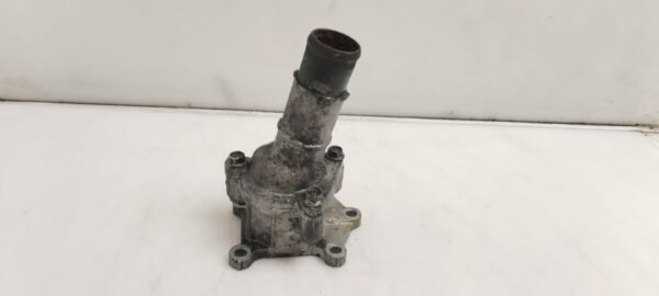TERMOSTATO 124911