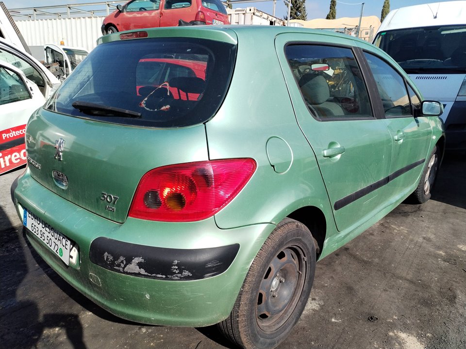 PEUGEOT 307 (S1)(04.2001) del 2004