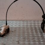 CERRADURA PUERTA DELANTERA IZQUIERDA 126296