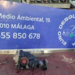 DIFERENCIAL TRASERO 125954