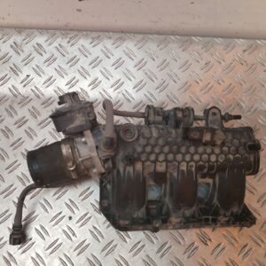 COLECTOR ADMISION 126491