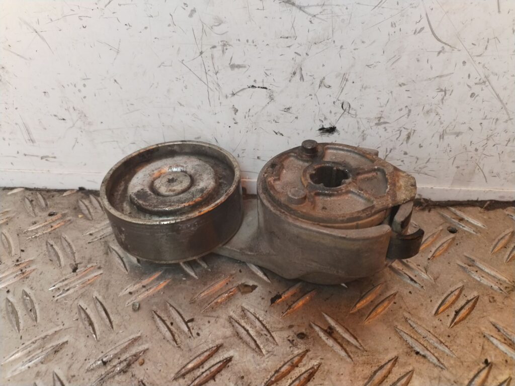 POLEA ALTERNADOR 127735