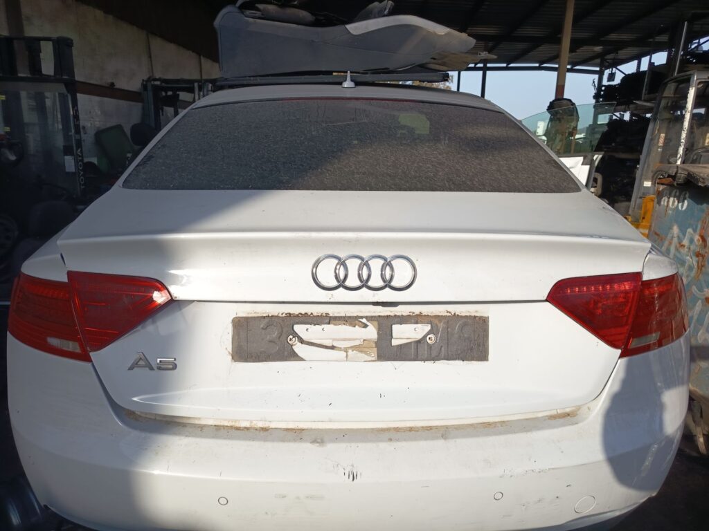 PORTON TRASERO 127248