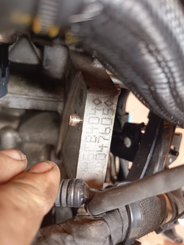 DESPIECE MOTOR 127555