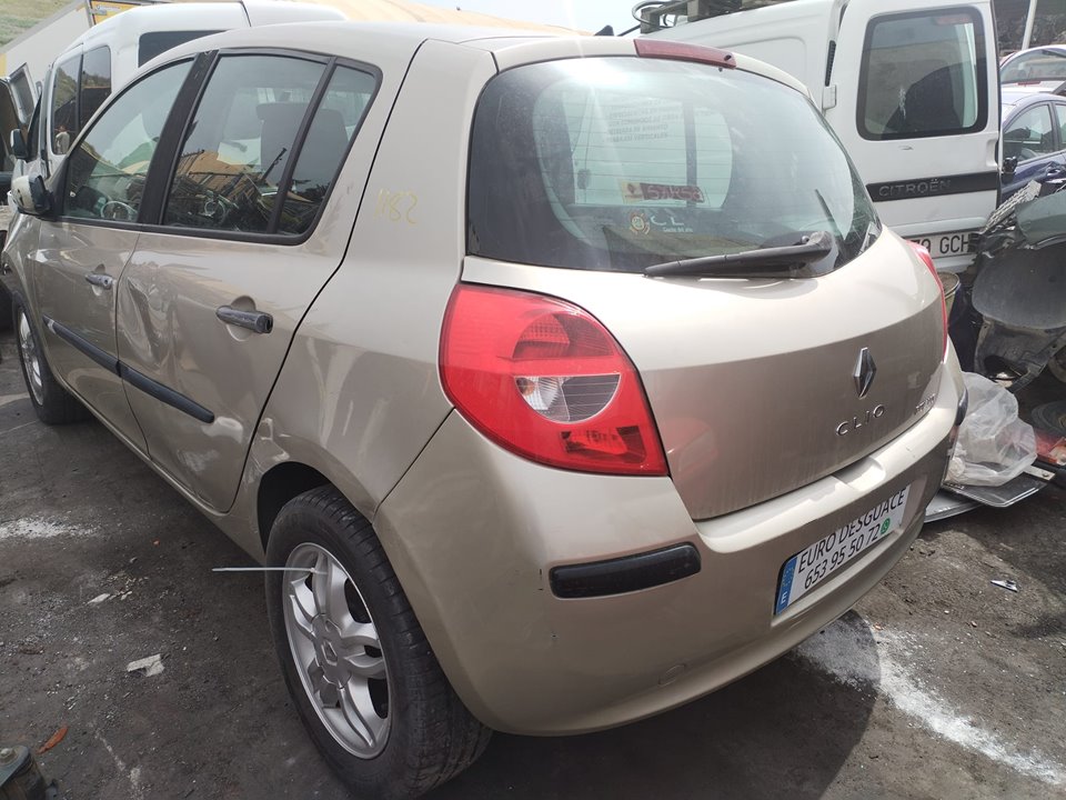RENAULT CLIO III del 1950