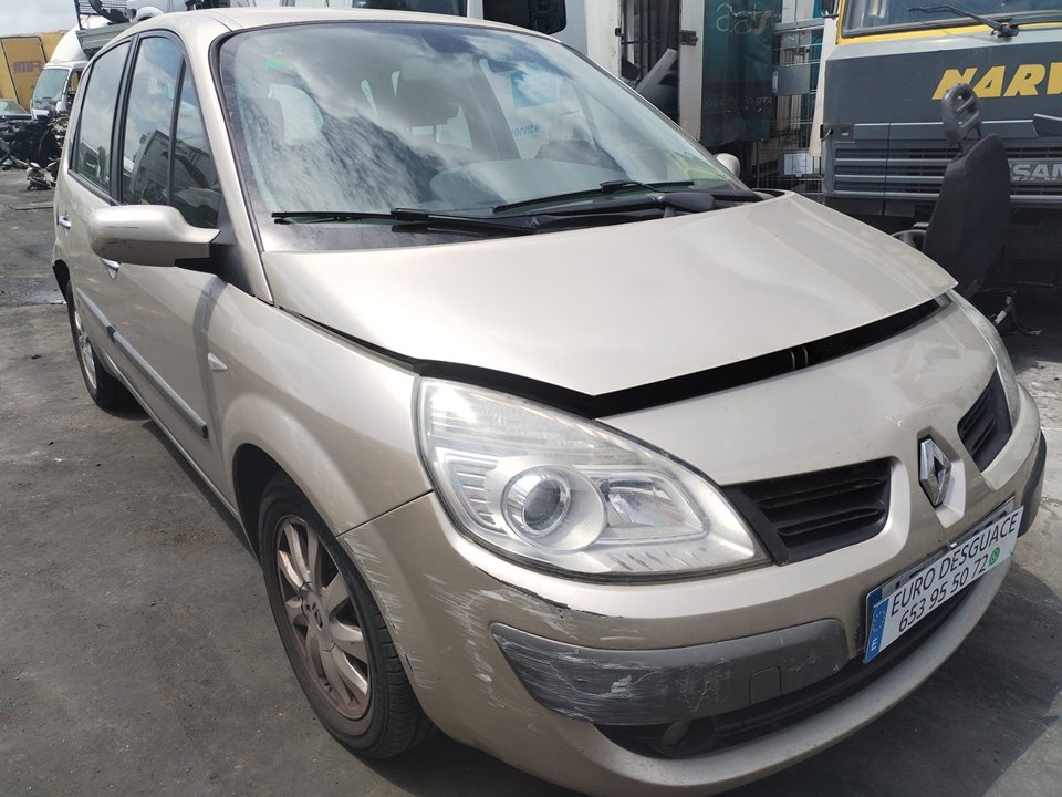 RENAULT SCENIC II (JM) del 1950