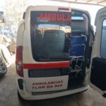 PORTON TRASERO IZQUIERDO 129284