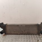 INTERCOOLER 129829