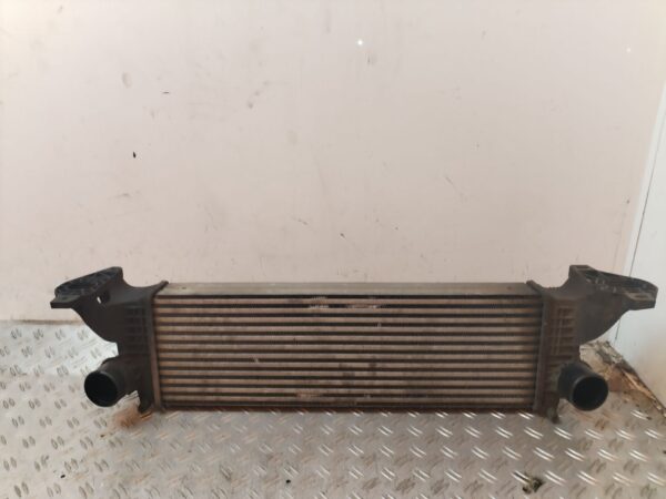 INTERCOOLER 129829