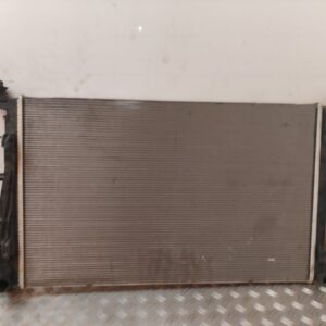 RADIADOR AGUA 129837