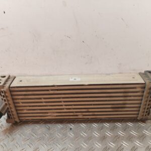 INTERCOOLER 129828