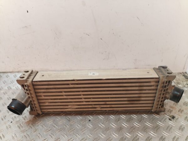 INTERCOOLER 129828